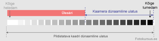 dyn-ul2