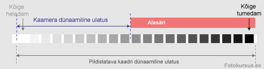 dyn-ul3