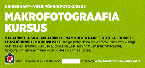 fotokursuse-kinkekaart-8