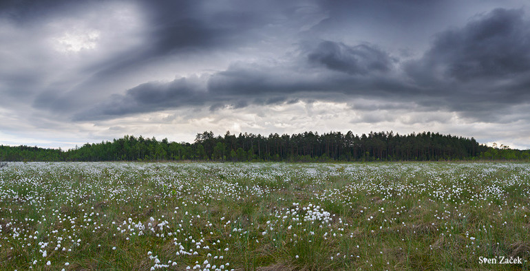 Miks fotod untsu lähevad -1. Halb valgus